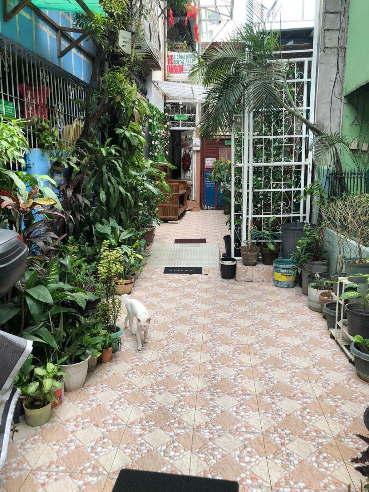 马尼拉The Mansion - Backpackers Near Airport公寓 外观 照片